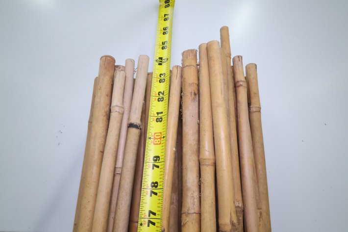 Image for Bamboo Poles