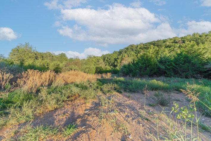 Image for Augusta County Homestead