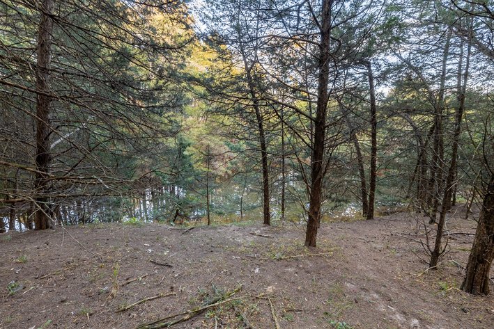 Image for Home and 30 Acres - Mount Crawford