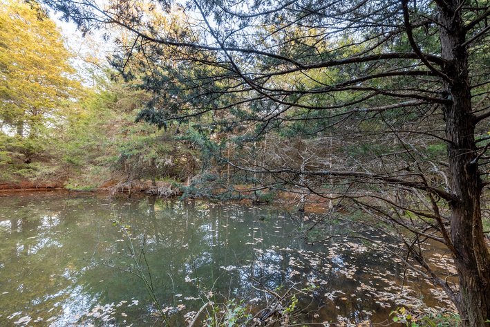 Image for Home and 30 Acres - Mount Crawford