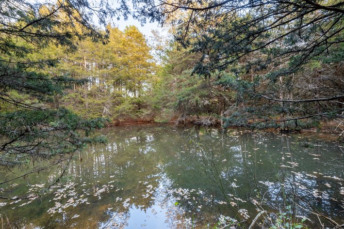 Image for Home and 30 Acres - Mount Crawford