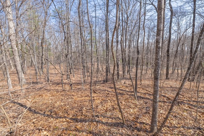 Image for Brightwood, VA Estate Home