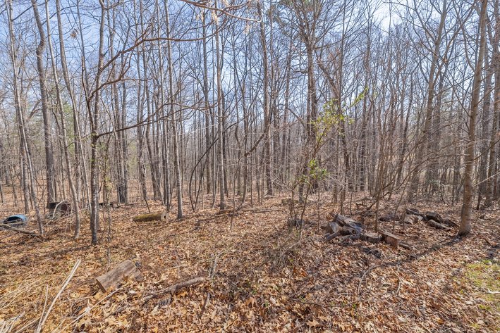 Image for Brightwood, VA Estate Home