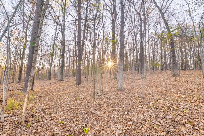 Image for Churchville Real Estate Auction