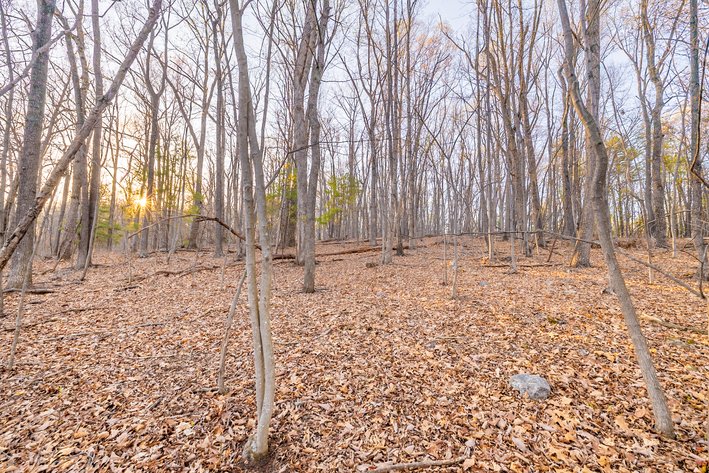 Image for Churchville Real Estate Auction