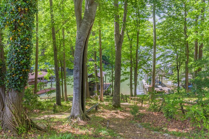 Image for Smith Mountain Lake Home
