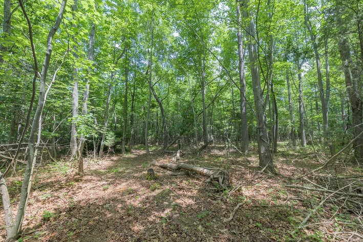 Image for Augusta County Real Estate