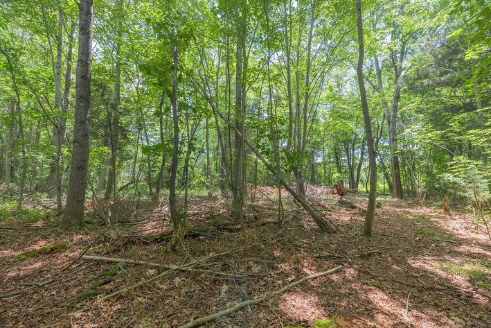 Image for Augusta County Real Estate