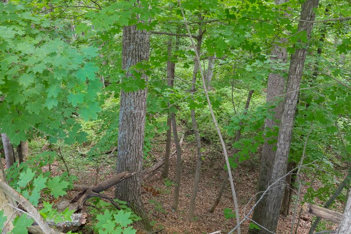 Image for Augusta County Real Estate