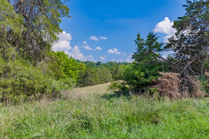 Image for Farm Land - Augusta County