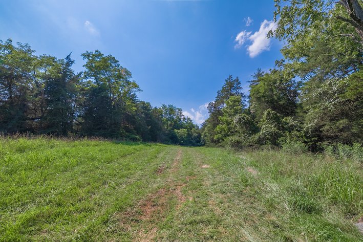 Image for Farm Land - Augusta County