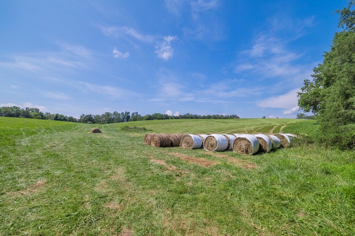 Image for Farm Land - Augusta County