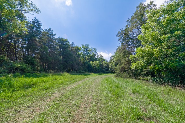 Image for Farm Land - Augusta County