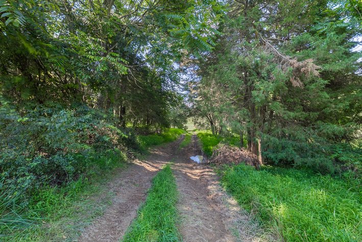 Image for Farm Land - Augusta County