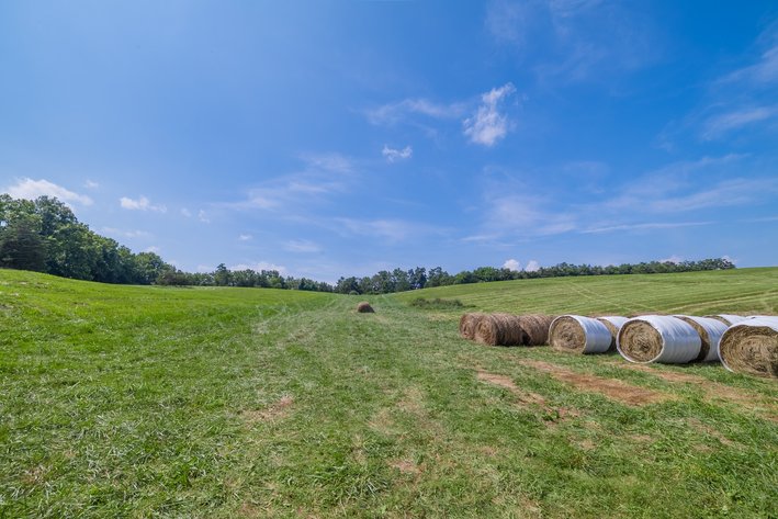 Image for Farm Land - Augusta County