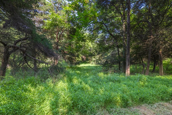 Image for Farm Land - Augusta County