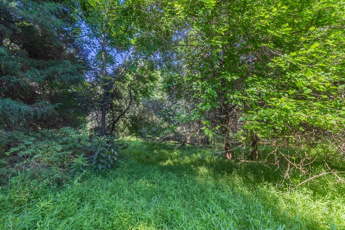 Image for Farm Land - Augusta County