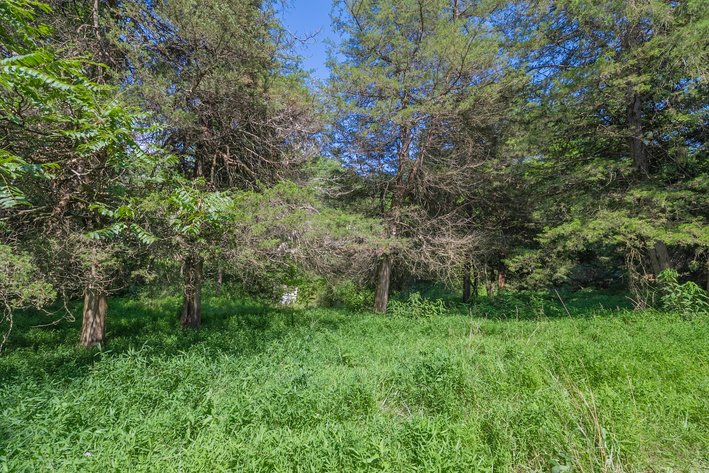 Image for Farm Land - Augusta County