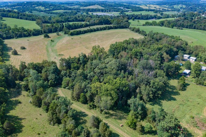 Image for Farm Land - Augusta County