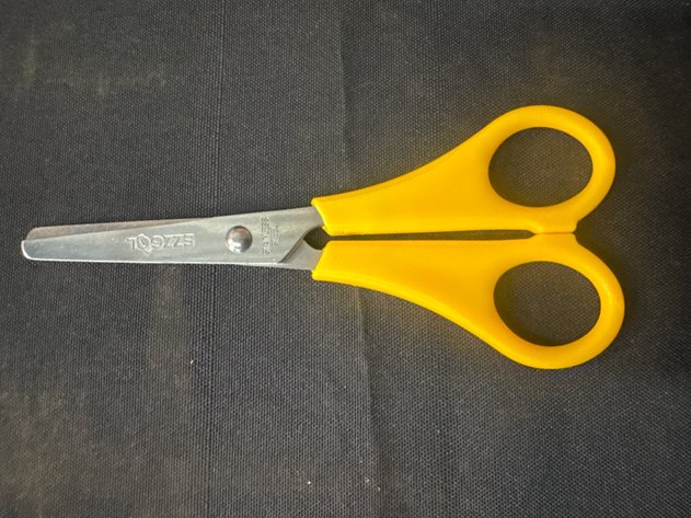 Image for Student Scissors