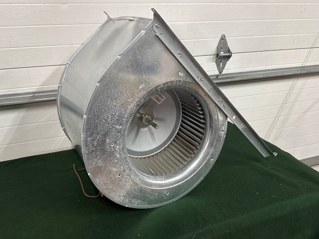 Image for Squirrel Cage