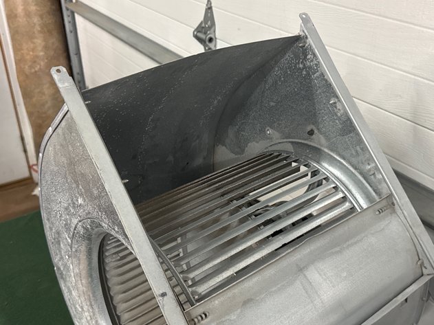 Image for Squirrel Cage