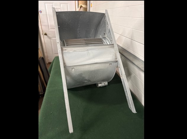 Image for Squirrel Cage