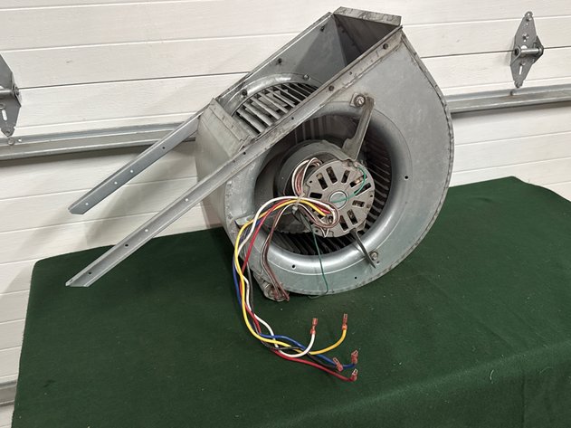 Image for Squirrel Cage