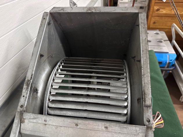 Image for Squirrel Cage