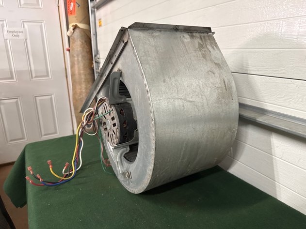 Image for Squirrel Cage