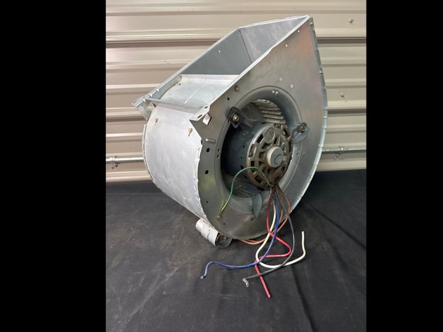 Image for Squirrel Cage