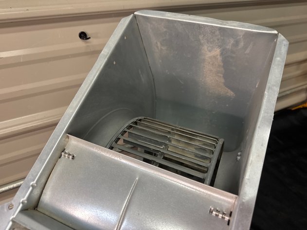 Image for Squirrel Cage