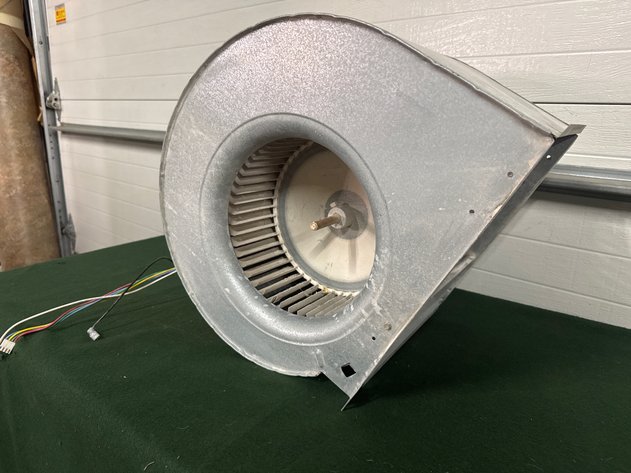 Image for Squirrel Cage