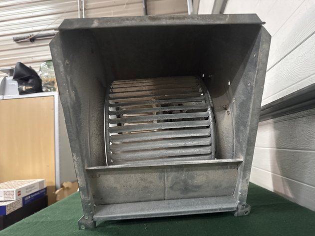 Image for Squirrel Cage