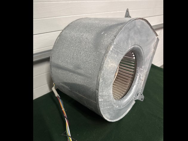 Image for Squirrel Cage