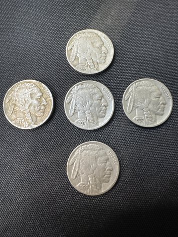 Image for Buffalo Nickels