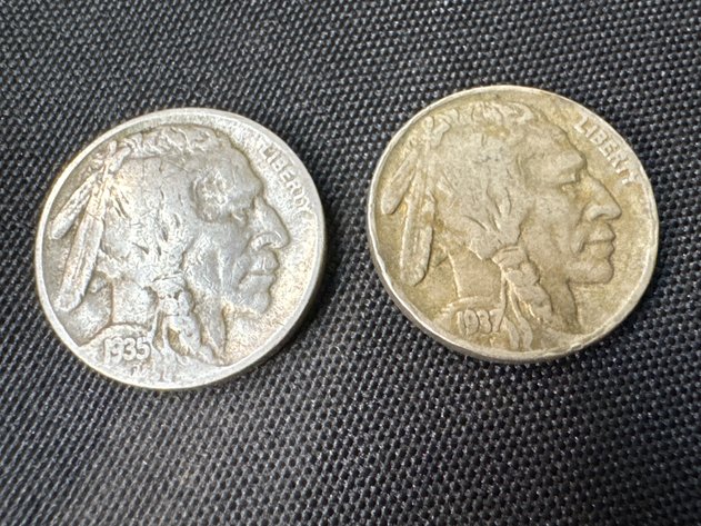 Image for Buffalo Nickels