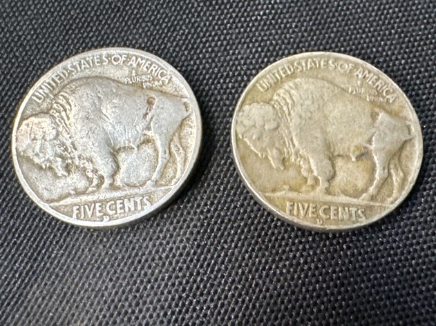 Image for Buffalo Nickels