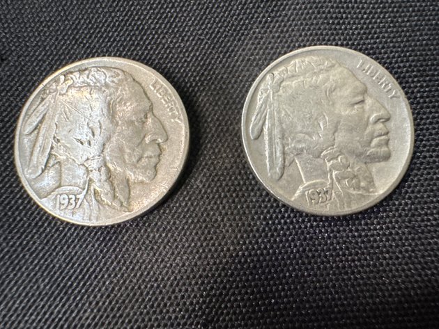 Image for Buffalo Nickels