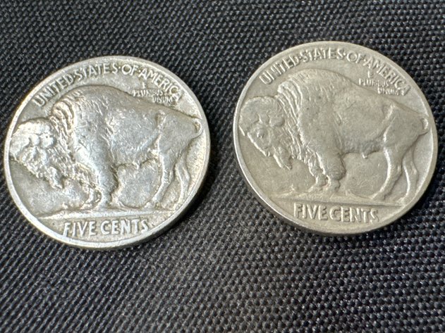Image for Buffalo Nickels