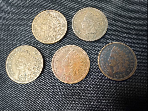 Image for Indian Head Pennies