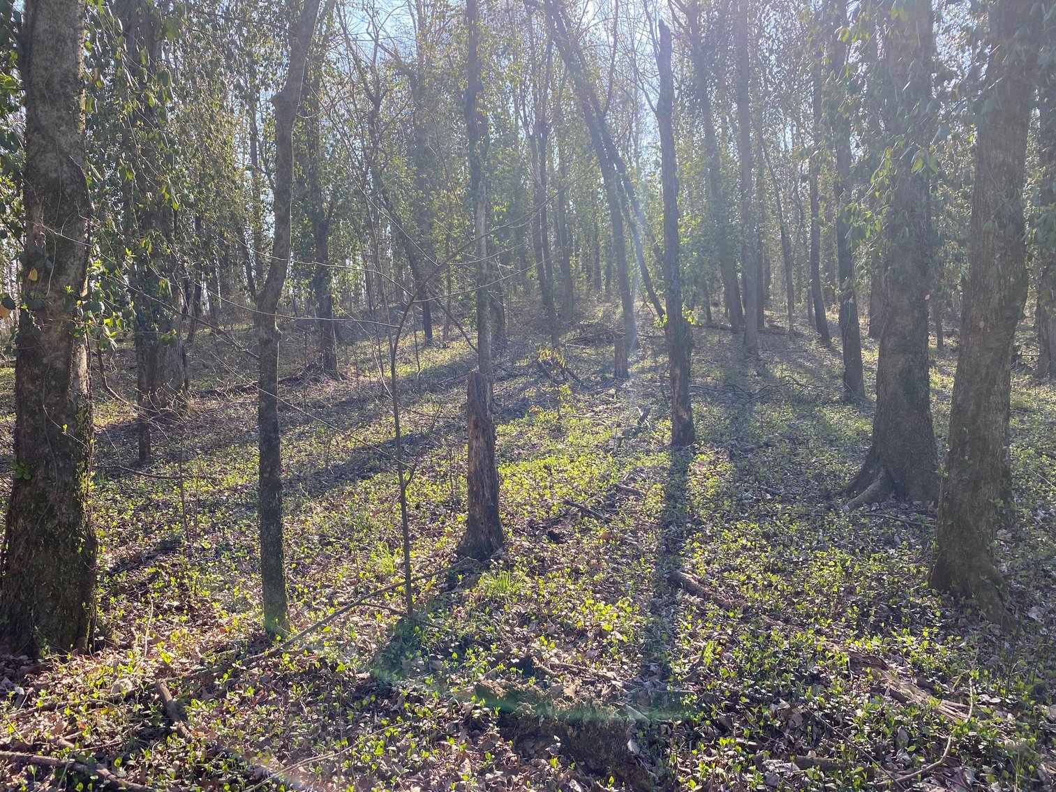 Image for Absolute Estate Auction • 897 S. Franklin ST, Karnak, IL