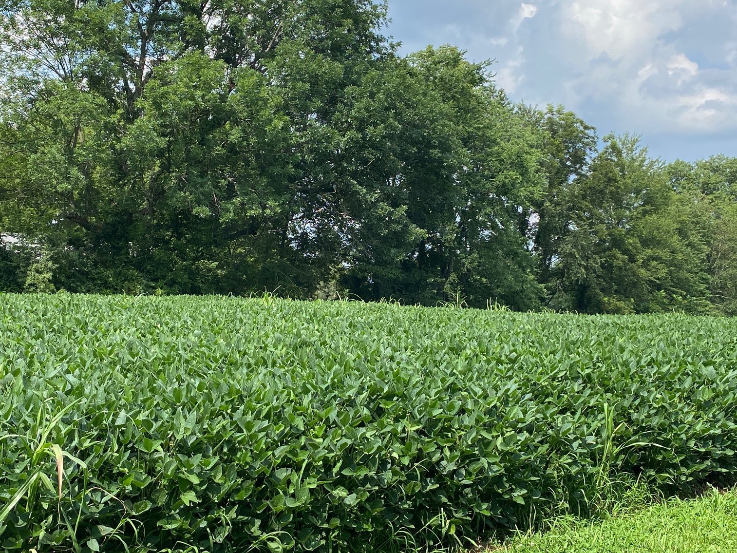 Image for Absolute Estate Auction • 8/20/24