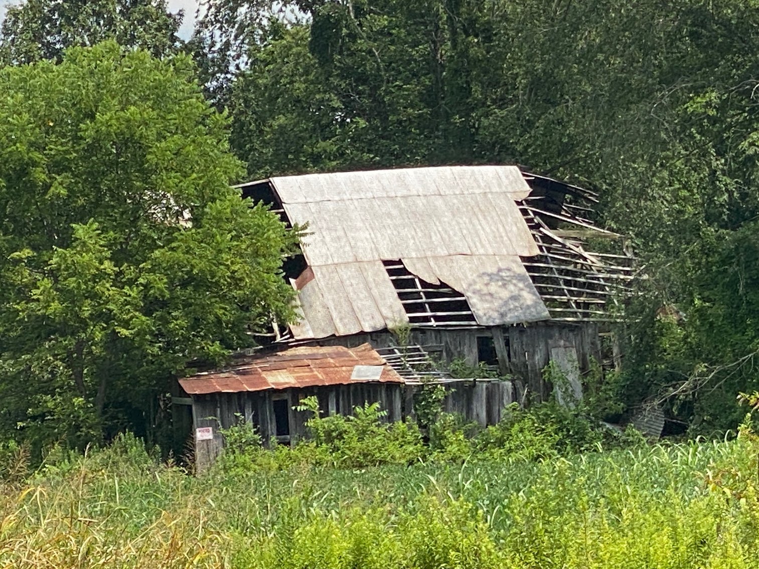 Image for Absolute Estate Auction • 8/20/24