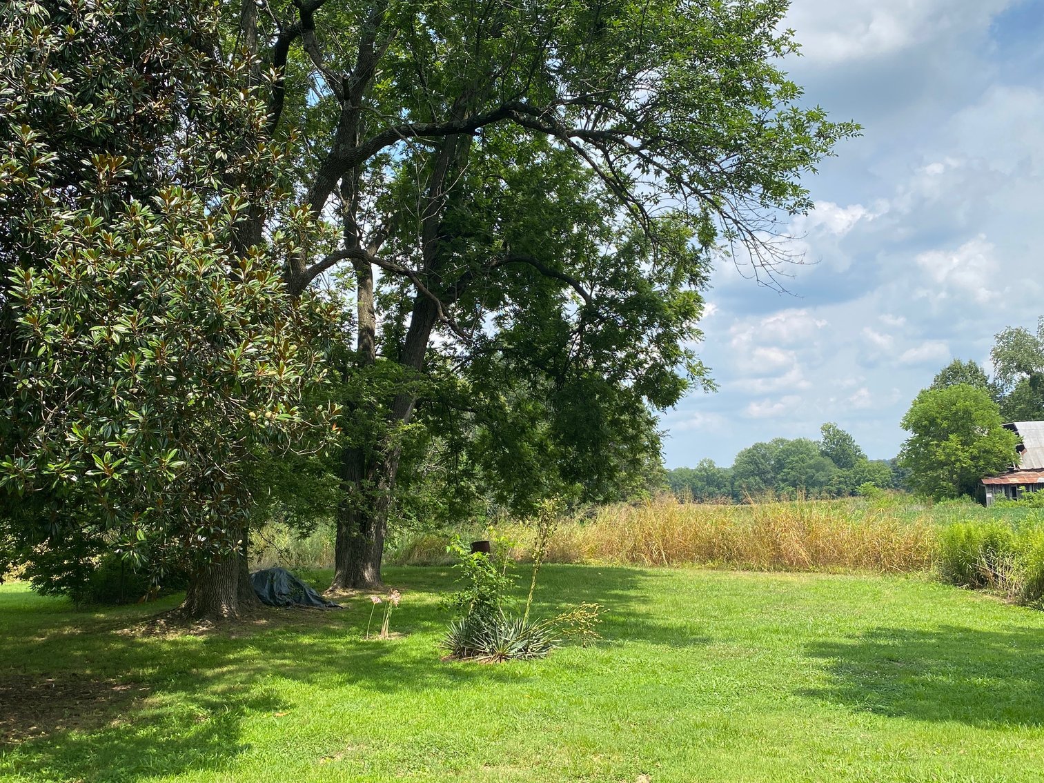 Image for Absolute Estate Auction • 8/20/24