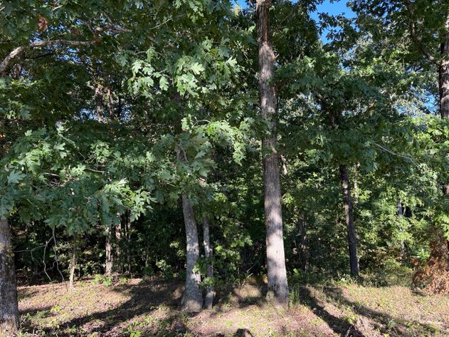 Image for Absolute Estate Auction • Dover, TN