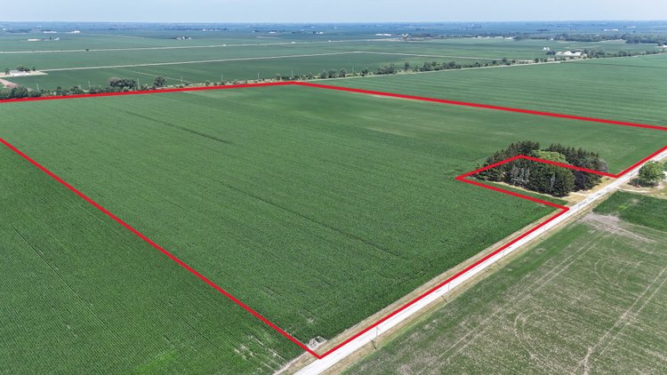 Image for 94.50± Acres Onarga Township, Iroquois County, IL