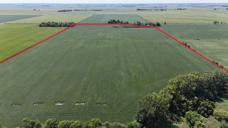 Image for 79.15± Acres Sumner Township, Kankakee County, IL