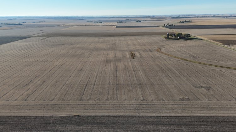 Image for 142.50± Acres Ash Grove Township, Iroquois County, IL