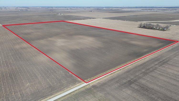 Image for 80.00± Acres Ash Grove Township, Iroquois County, IL